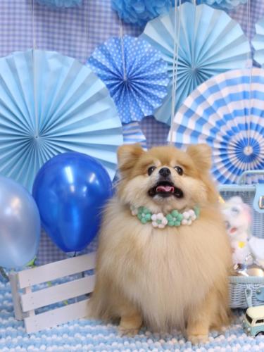 20231117梛都ちゃん